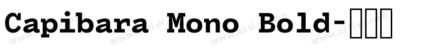 Capibara Mono Bold字体转换